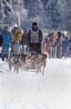 Megeve1 photo Corradi