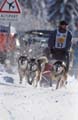 Megeve2 photo Corradi