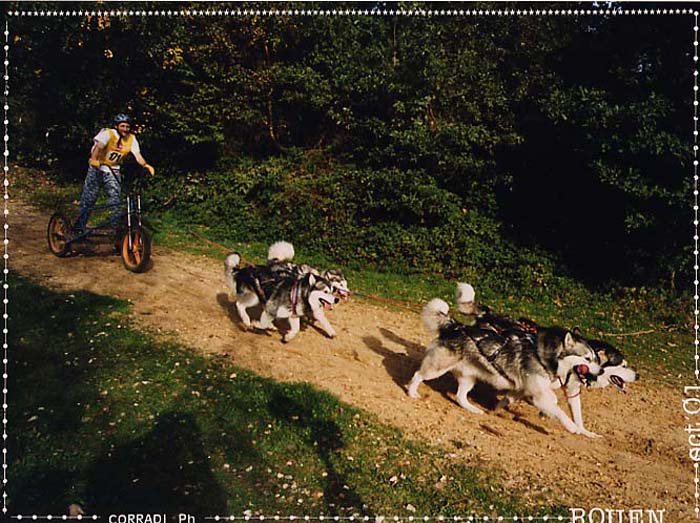 course09 photo Corradi