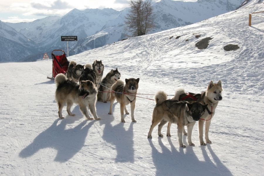 22queyras