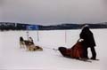 Carrefour sur lac !!