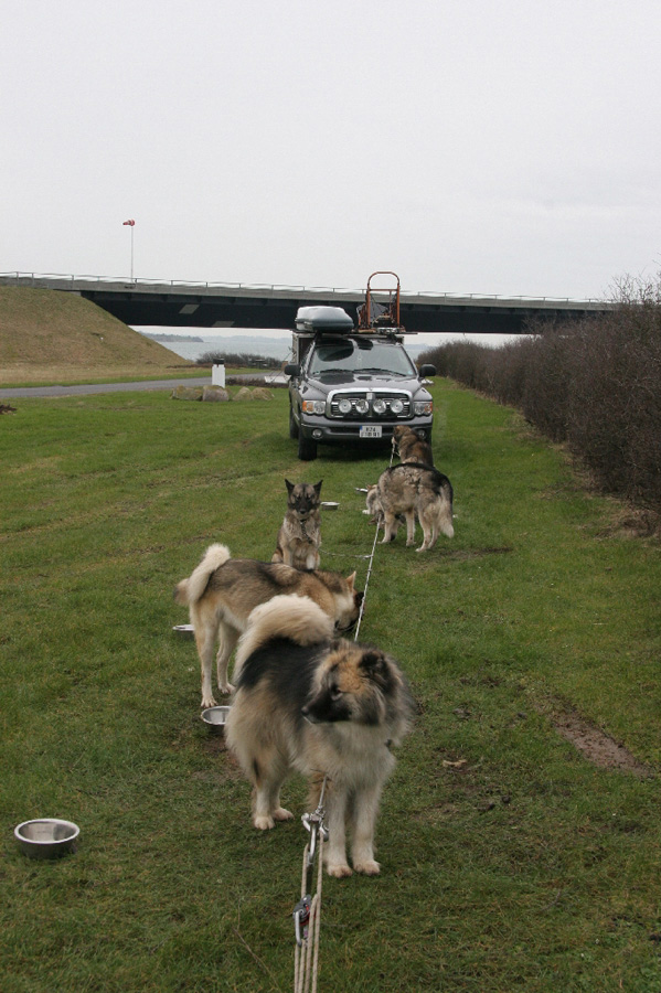 001 premier bivouac Danemark