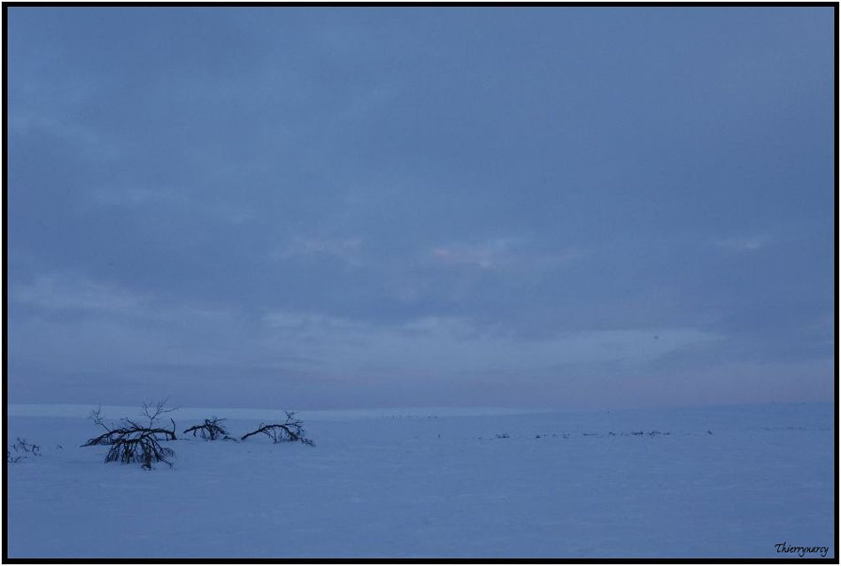 Bivouac 4        146