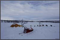 Bivouac  3