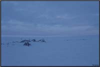 Bivouac 4        145