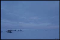 Bivouac 4        146