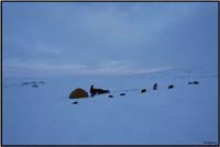 Bivouac 4       142