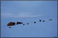 Bivouac 4     141