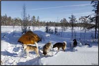 Bivouac sur le trajet 