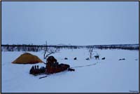 Bivouac3     