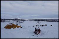 Bivouac3   