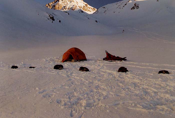 Valloire21