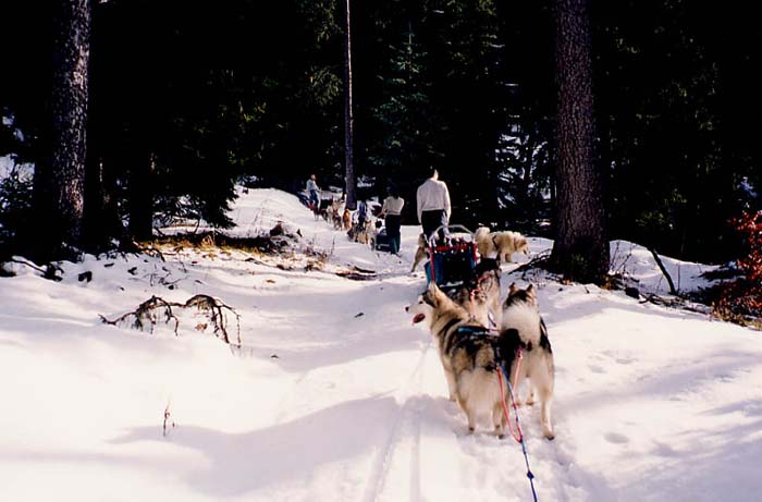 Vercors05